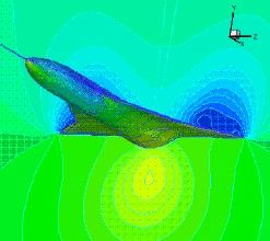 生物流體力學 生物流體力學