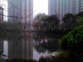 雨中漫步[雨中漫步·詩詞新調]