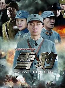 雪豹[2010年文章主演電視劇]