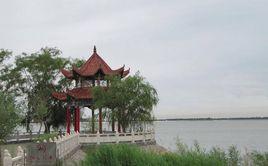 石河子北湖公園 石河子北湖公園