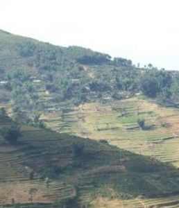 小街子自然村 小街子自然村