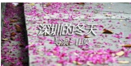 深圳的冬天 深圳的冬天