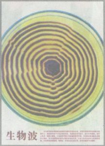 生物波 生物波