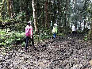 2017年8月16日通往朗傑崗村的道路一角1