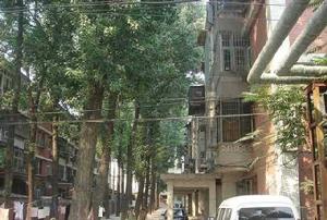 大山子南里 大山子南里