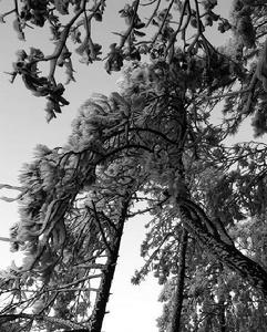 龍上村[福建省三明市尤溪縣新陽鎮龍上村]