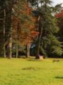 《以事走郊外示友》 《以事走郊外示友》