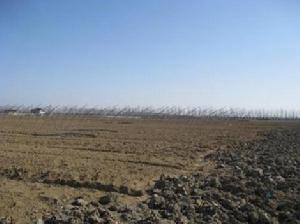 增產村土地復墾