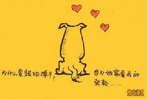 《國王山努亞和他的一千零一夜》 《國王山努亞和他的一千零一夜》