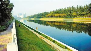 草木蔥蘢 草木蔥蘢