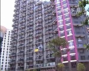 真愛歲月 真愛歲月