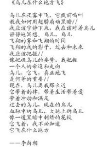 鳥兒在什麼地方飛 鳥兒在什麼地方飛
