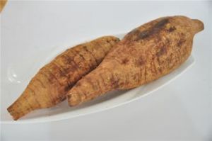 除濕湯[《眼科纂要》]