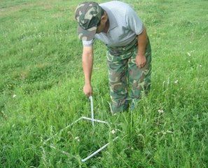 基部蓋度 基部蓋度