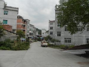 前桑園村 前桑園村