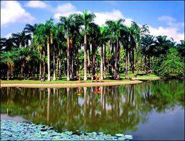 茂蘭喀斯特森林自然保護區 茂蘭喀斯特森林自然保護區