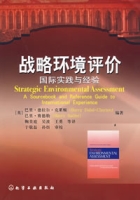 戰略環境評價:國際實踐與經驗