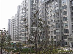 仁和香堤雅境 仁和香堤雅境