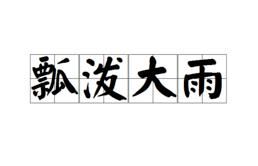 瓢潑大雨 瓢潑大雨