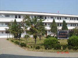 龍游靈山國小 龍游靈山國小