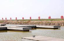 曹妃甸濕地公園