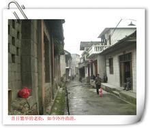 復興鎮[湖南省復興鎮]