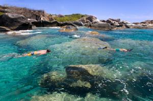 （圖）英屬維京群島