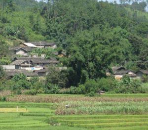 早內自然村 早內自然村