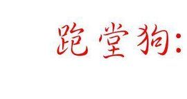 跑堂狗 跑堂狗
