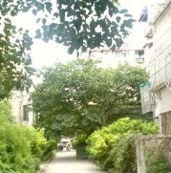 水利小區 水利小區