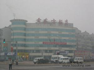 震東方飯店 震東方飯店