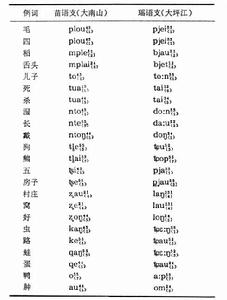 苗瑤語族 苗瑤語族