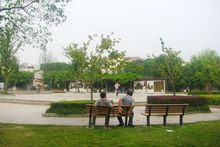 上海泗涇公園 上海泗涇公園