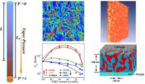 雙分子共軛鹼消除