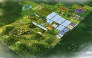 鄭州生態園 鄭州生態園