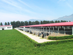 北京三元食品股份有限公司