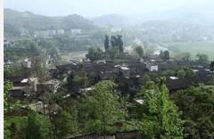 沙口集鄉馬頭村 沙口集鄉馬頭村