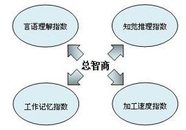 韋氏智力量表 韋氏智力量表