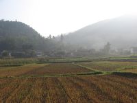 下烏邑自然村 下烏邑自然村