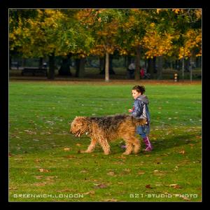格林威治皇家公園