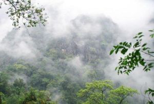 高黎貢山百花嶺生態旅遊區 高黎貢山百花嶺生態旅遊區