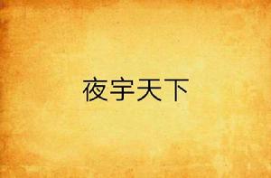 夜宇天下 夜宇天下