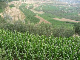 白家灣鄉 白家灣鄉