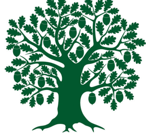 逆文明現象 逆文明現象