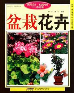 盆栽花卉 盆栽花卉