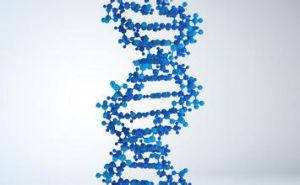 DNA突變