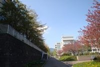 室蘭工業大學