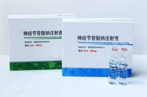 神經節苷 神經節苷