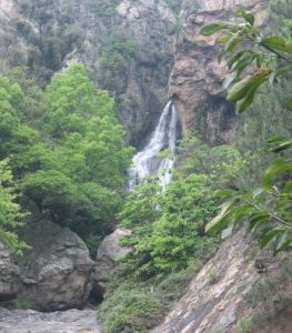 溫州市仙岩景區 溫州市仙岩景區