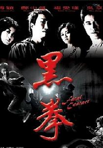 黑拳[2006年吳京、楊愛瑾主演電影]